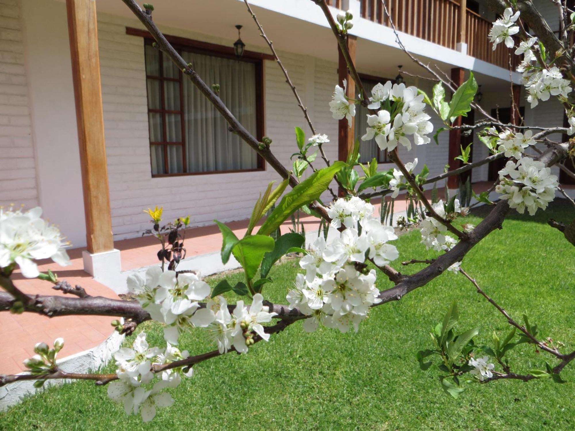 La Quinta San Andres 4*